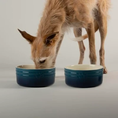 Image of Scruffs Ombre 2pc Ceramic Dog Bowl Set Blue 19cm