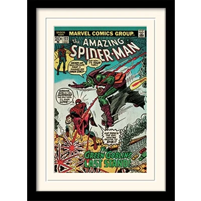 Image of Spider Man (Green Goblin 30x40 cm Mounted &amp; Framed
