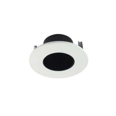 Image of 50mm Pin Hole Accessory for Accentpro Downlights Integral LED