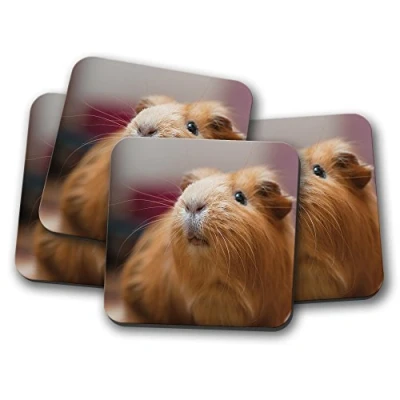 Image of 4 Set Cute Ginger Guinea Pig Cork Backed Drinks Coaster Animal Kids #8353