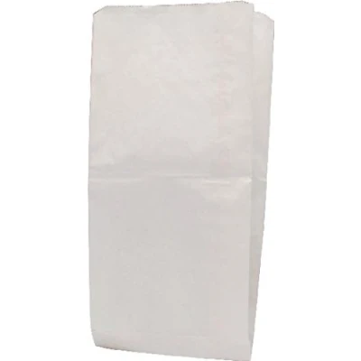 Image of Dempson 9430019 Paper Bag, 34 g, 216 x 152 279 mm White, Pack of 1000