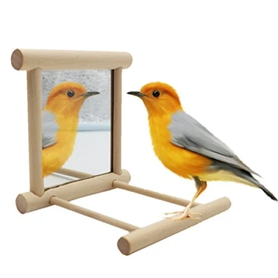 Image of Bird Stand Perch with Mirror for Parrot Budgie Parakeet Cockatiels Conure Finch Lovebird African Grey Macaw Amazon Cockatoo Cage Wood Toy