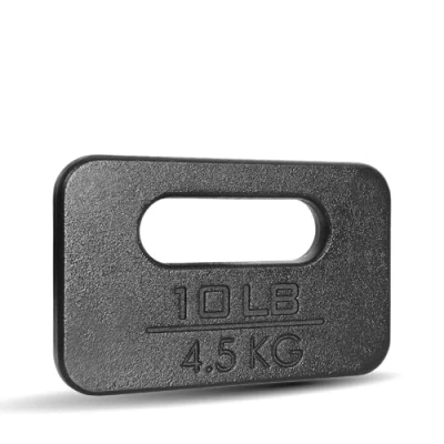 Image of Yes4All ZC4Y Cast Iron Rucking Weight Plate for Backpack, 4,5 KG 10 POUND
