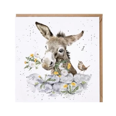 Image of Wrendale Designs Fine and Dandy&#039; Donkey Card