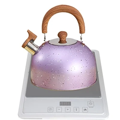 Image of Kettle Stainless Steel 2L Whistling Induction Gas Stove Tea Camping Teapot Coffee Pot with Heat Resistant Handle