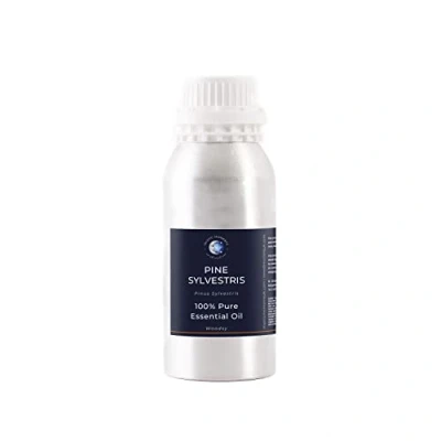 Image of Mystic Moments Pine Sylvestris Essential Oil 500g Pure &amp; Natural for Diffusers, Aromatherapy Massage Blends Vegan GMO Free