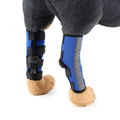 Image of Zunea Dog Canine Rear Leg Brace with Safety Reflective Strap Hind Compression Sleeve Hock Joint Wrap Protector and Extra Supportive for Stability, Wound Injury, Sprain Healing Blue M