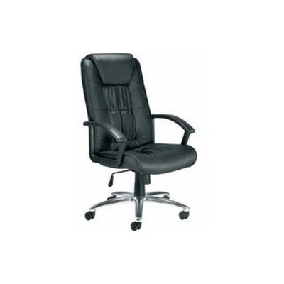 Image of Jemini Tiber Leather Chair (For Up to 8Hours Usage) KF74003