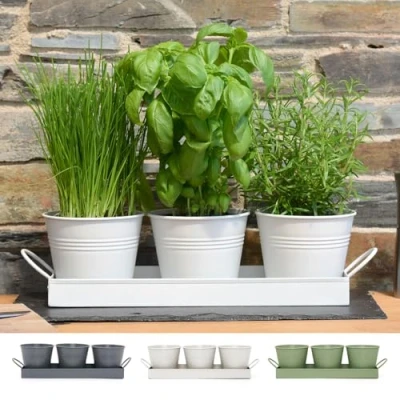 Image of CKB LTD Set of 3 Metal Herb Plant Pots with Drip Tray Traditional Indoor Windowsill Coloured Planter Box for The Kitchen Grow Your Own Herbs Cooking (White)
