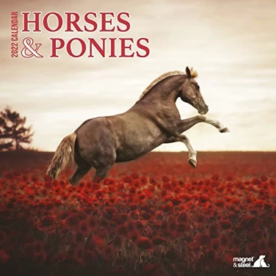 Image of Magnet &amp; Steel Horses Ponies 2022 Calendar
