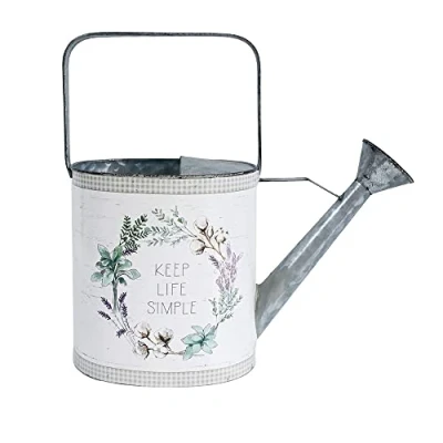 Image of All Chic Watering Can Outdoor Garden Small Indoor Keep Life Simple Retro Jug Planter Galvanized UK For Decor