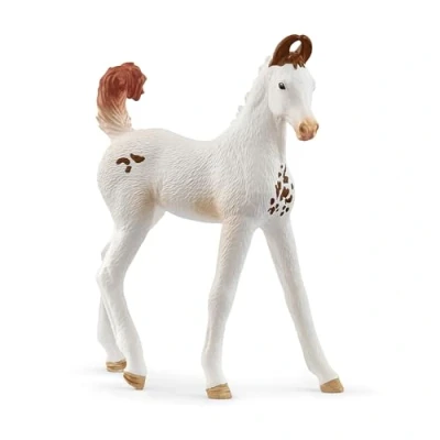 Image of schleich 14896 Marwari Foal , from 5 years HORSE CLUB Figurine, 8 x 7 cm