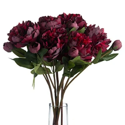 Image of Hill Interiors The Recipe Burgundy Peony Rose Red,20 x 20 58cm