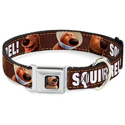 Image of Buckle Down Dog Collar Seatbelt Dug 3 Poses Squirrel Brown Yellow White 15 to 26 Inches 1.0 Inch Wide (DC WDY293 L)