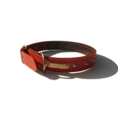 Image of Studded Bridle Leather Dog Collar (Red, 22&quot; x 1&quot;)