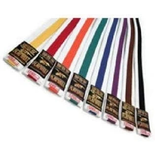 Image of Playwell Martial Arts 220CM White With Coloured Stripe (Black)
