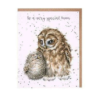 Image of Wrendale Designs Artistic Blank Greeting Card &#039;Very Special Mum&#039; Owl Always Love You Cuddling Illustration by Hannah Dale