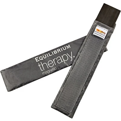 Image of equilibrium Spare Therapy Magnets, Large