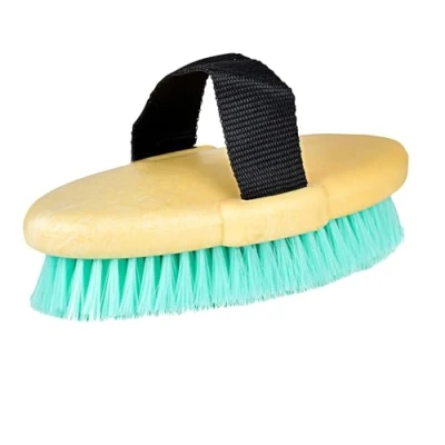 Image of Roma Brights Body Brush, Turquoise