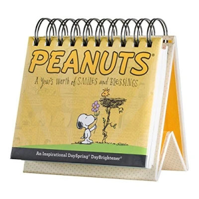 Image of Peanuts Daybrightener Calendar [DSP75668]