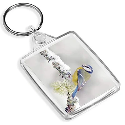 Image of Beautiful Blue Tit Keyring Bird Winter Snow Pretty #15663