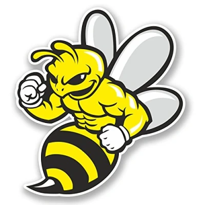 Image of 2 x 10cm Wasp Bee Hornet Vinyl Sticker Bike Laptop Helmet Car Gift #5844 (9cm Wide Tall)