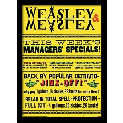 Image of Harry Potter &quot;Weasley and Weasley Specials Framed Print, 30 x 40 cm