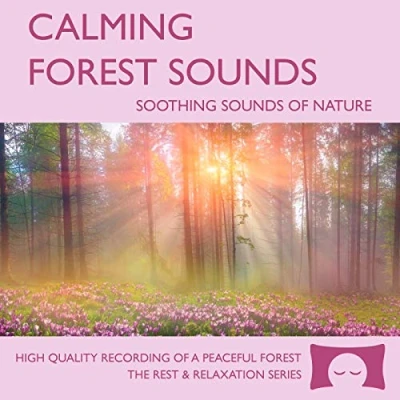 Image of Calming Forest Sounds CD Nature Recording For Meditation, Relaxation and Creating a Soothing Atmosphere Nature&#039;s Perfect White Noise