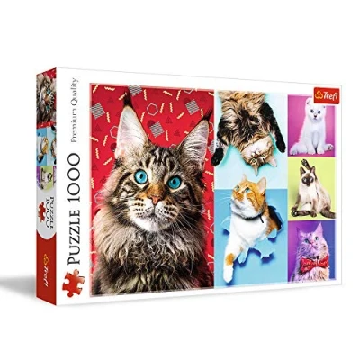 Image of Trefl 10591 Gatti Felici 1000 Elements, Cute Collage, Funny, DIY, Creative Entertainment, Gift, Fun, Classic Puzzles, Happy Cats, Lustige Katzen