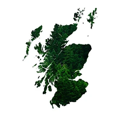 Image of Scotland Map Trees Large Canvas Wall Art Print