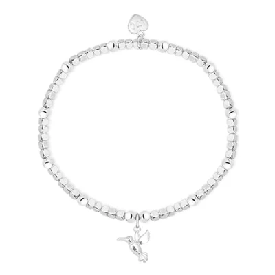 Image of Life Charms Silver Hummingbird Charm Bracelet in Gift Box