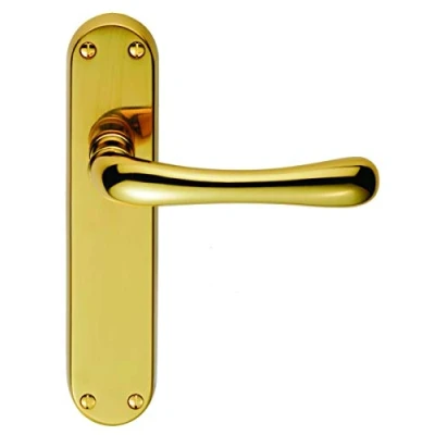 Image of Carlisle Brass CBL12 IBRA Lever ON Backplate Latch, Polished