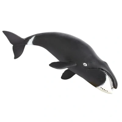 Image of Safari S205529 Bowhead Whale,Grey,white