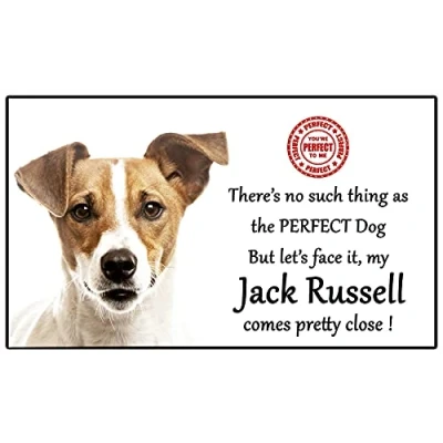 Image of Jack Russell Terrier Dog Gift Perfect Fun novelty Flexible 5&quot; x 3&quot; Magnet