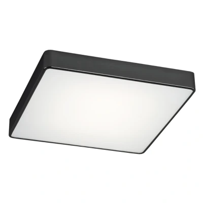 Image of Ontario Flush Ceiling Light Black Structure 25cm