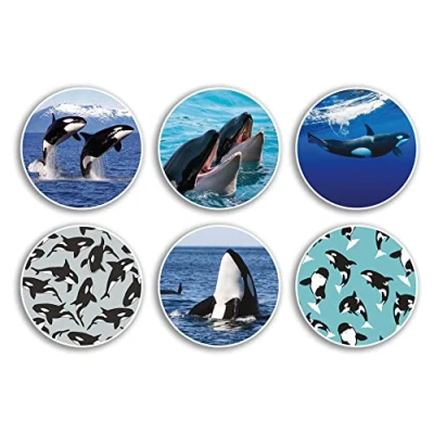 Image of 6 x 10cm Orca Whale Vinyl Stickers Sea Creature Pattern Cartoon Underwater Animal Killer Scrapbooking Gift #79014