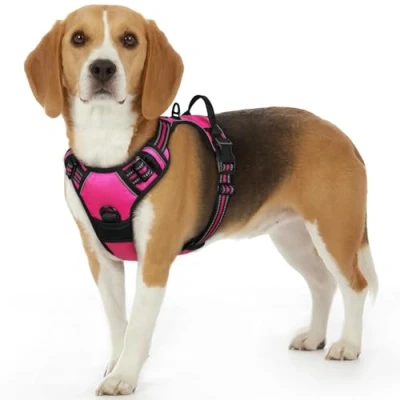 Image of Eagloo Dog Harness Small Dog, Adjustable Soft Padded Pet Vest, Front Clip No Pull Walking Harness, Reflective Choke Breathable Puppy Vest with Easy Control Handle, Rose Red, S
