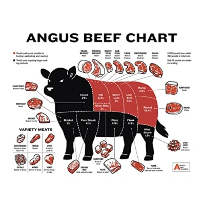 Image of Retro Decor Tin Signs Beginner&#039;S Guide To Beef Cuts, Angus Butcher Chart Wall Art Iron Painting For Home Kitchen Cafe Pub Sign Plaque 20x30cm