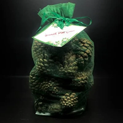 Image of The Milford Collection Scented Pine Cones Green Organza Bag Winter Spice 500g