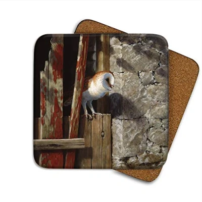 Image of Barn Owl Doorway Drinks Coaster by Wildlife Artist Julian Friers Individual Non Slip, Cork Backed Table