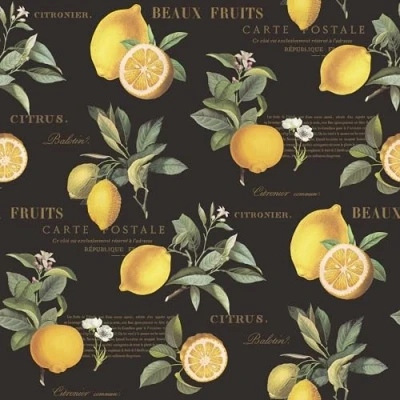Image of Galerie G45411 Just Kitchens Citron Botanical Black Yellow Wallpaper