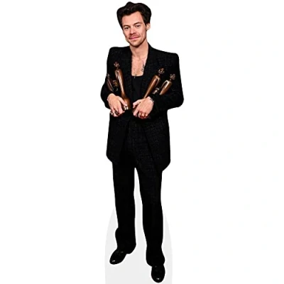 Image of Harry E. Styles (Awards) Mini Size Cutout