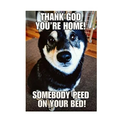 Image of Any Occasion Humour Card from Hallmark Photographic Design