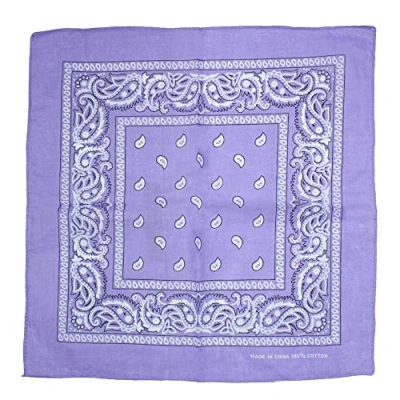 Image of Zac&#039;s Alter Ego Retro Vintage Style Cowboy Paisley Bandana/Neckerchief/Durag
