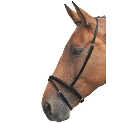 Image of Shires Equestrian Blenheim Flash Noseband Black Size: Pony