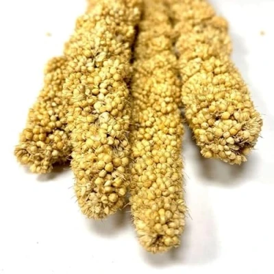 Image of Millet Sprays Premium Quality Aviary Bird Food Hanging Treat Budgies (15KG)