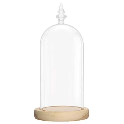 Image of BELLE VOUS Glass Dome Cloche Bell Jar with Natural Wooden Base 26.5cm/10.43 Inches Clear Decorative Tabletop Display Case Tray for Fairy Lights, Centrepieces and Antiques