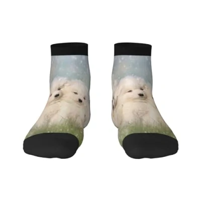 Image of BeNtli Crew Socks, Compression Socks Casual Novelty Sports 30CM Long For Unisex Samoyed Puppies White Dogs Family Small