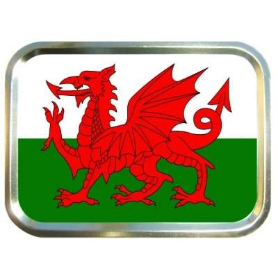 Image of WELSH DRAGON 2oz GOLD TOBACCO TIN,BACCY TIN,PILL TIN,FISHING TIN,SEWING TIN