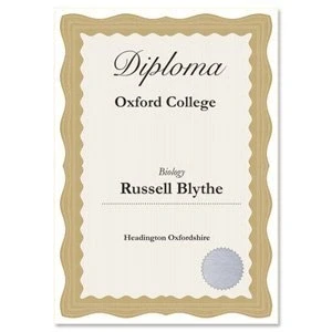 Image of Computer Craft Certificate Paper A4 Bronze Wave [Pack 30]